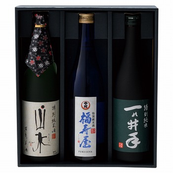 gLnIWi n𑠓ʏĂ݂̂ (TJ-40)